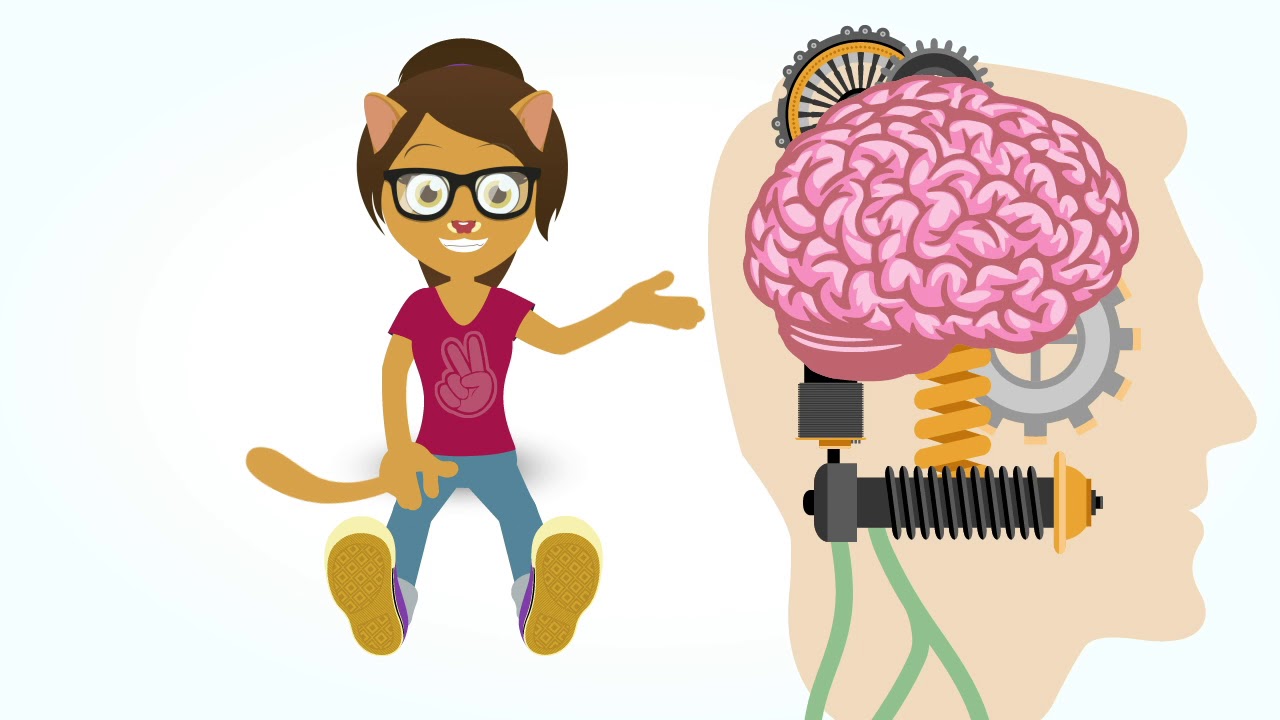 ¿Cuáles son los estilos de aprendizaje de la PNL Programación Neurolingüística?