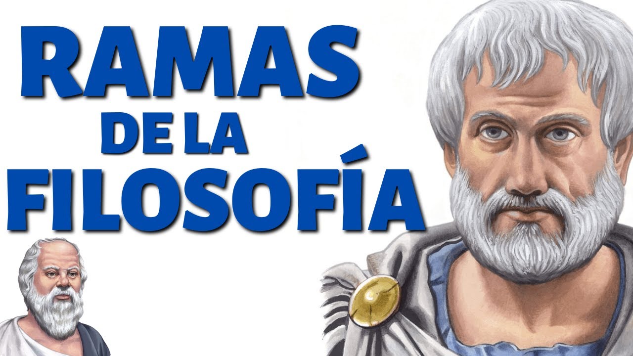 ¿Cuáles son las 12 ramas de