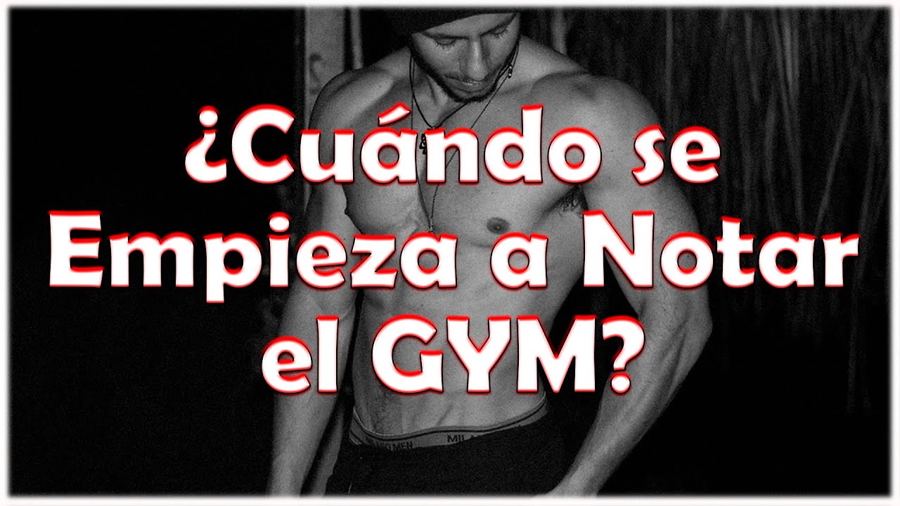 ¿Cuándo se empiezan a notar los cambios en el gimnasio?