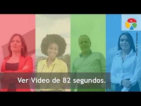 ¿Cuáles son los cuatro estilos de liderazgo?