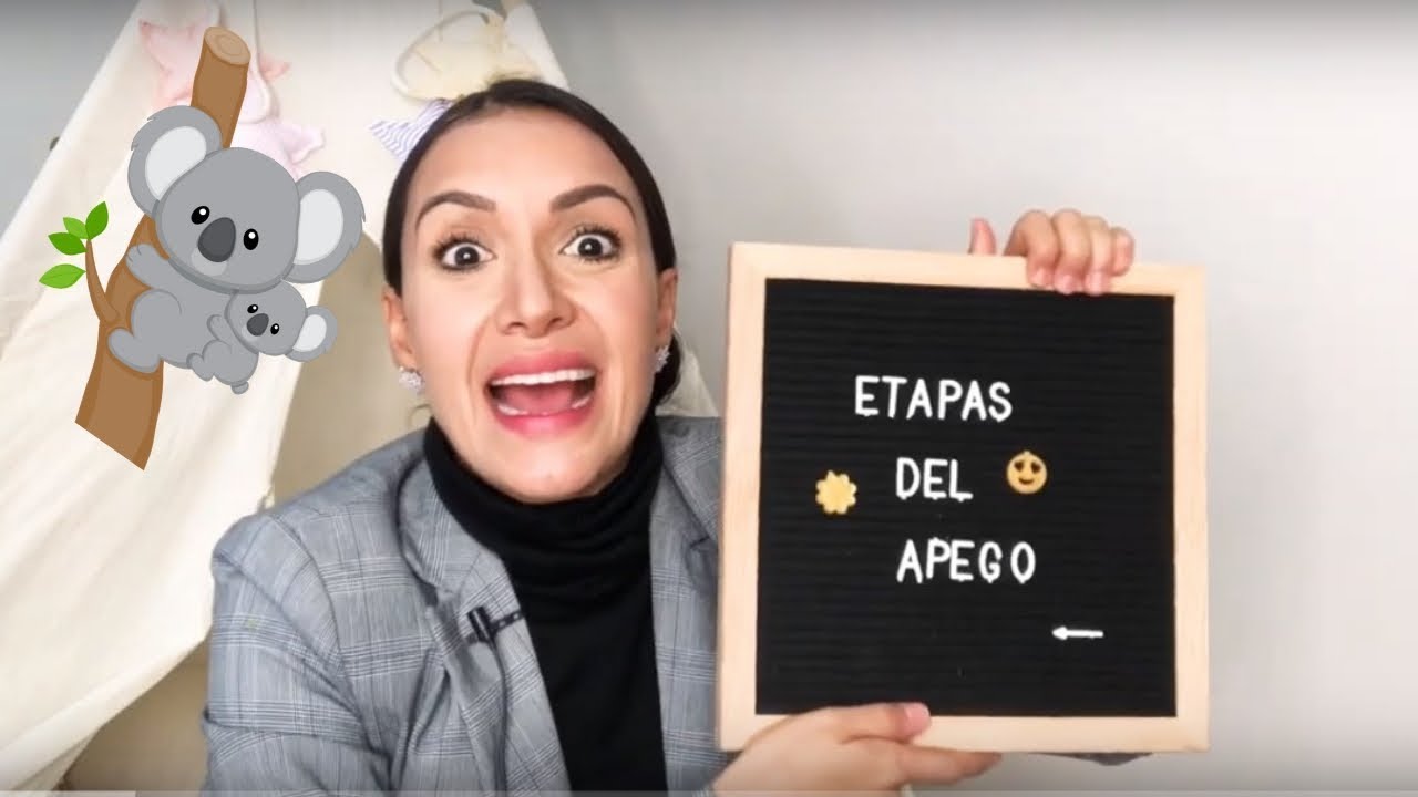 ¿Cuáles son las etapas de apego?