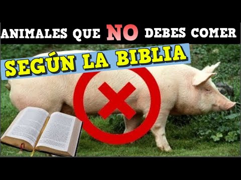 ¿Cuáles son los animales que no se pueden comer según la Biblia