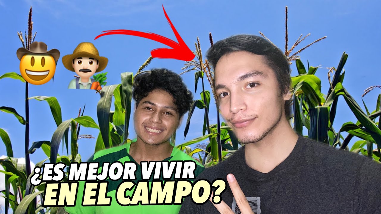 ¿Qué es lo malo de vivir en el campo?