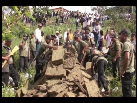 ¿Cómo luchar contra la injusticia social?