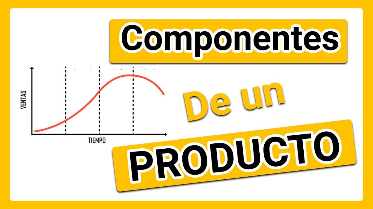 ¿Qué es el ciclo vital y cuáles son sus etapas?