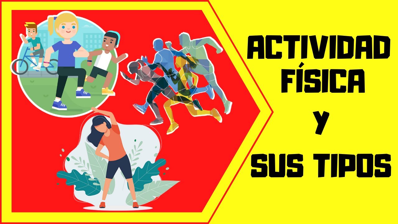 ¿Cómo se clasifican los beneficios de la actividad física?