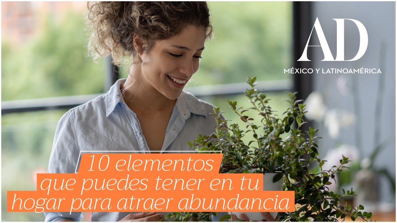 ¿Cómo atraer la prosperidad a mi casa?
