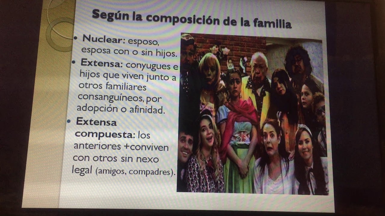 ¿Cuál es la clasificación de la familia?