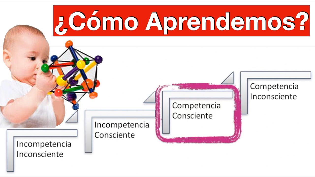 ¿Cómo aprendemos ejemplos?