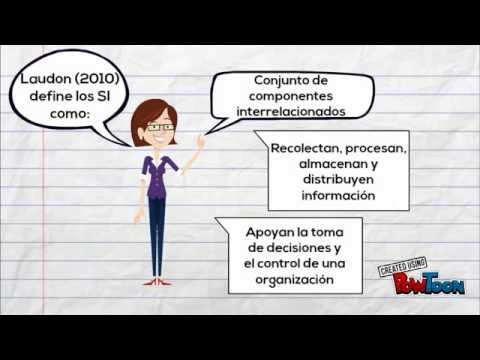 ¿Cuáles son las actividades de un sistema de información?
