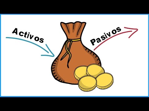 ¿Cuál es el activo y el pasivo?