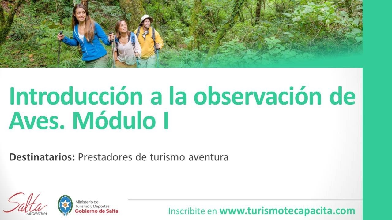 ¿Cuál es la importancia de las aves en el turismo?