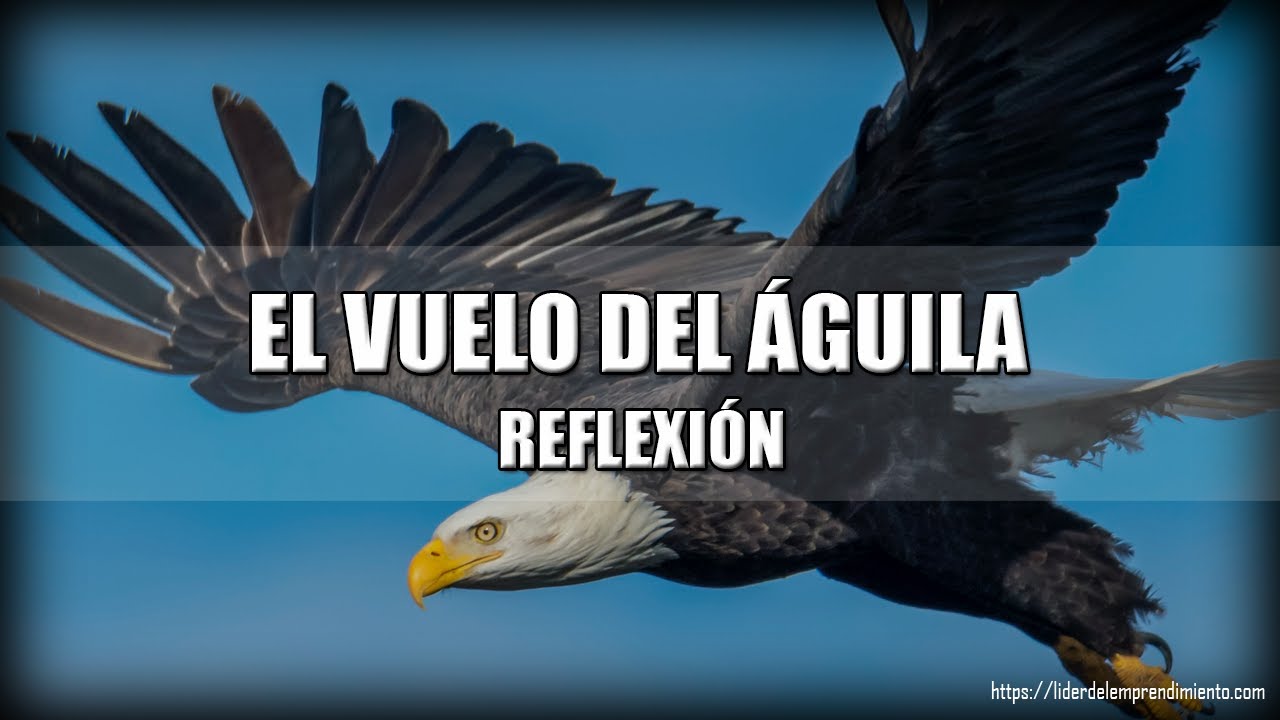 ¿Cuál es el mensaje del águila?