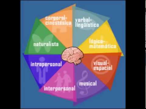 ¿Qué es la inteligencia y un ejemplo?