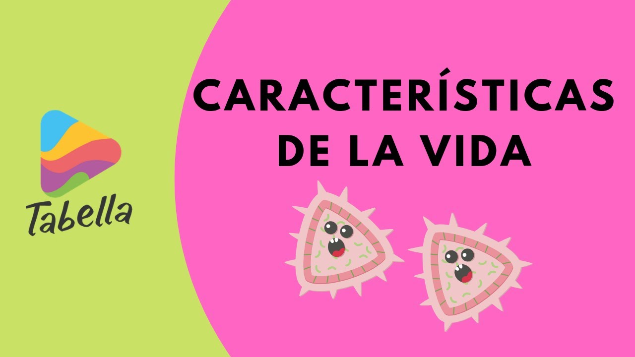 ¿Cuáles son las 6 características de la vida?