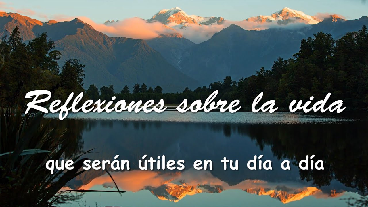 ¿Cómo puedo reflexionar sobre mi vida?