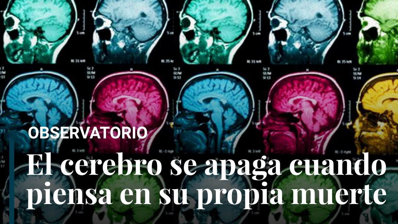 ¿Cómo se apaga la mente?