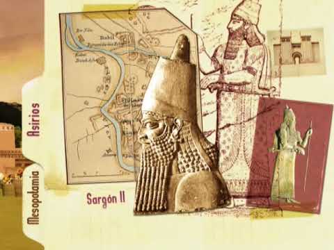 ¿Qué son los persas resumen?