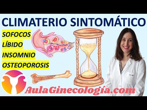 ¿Qué es la perimenopausia tardia?
