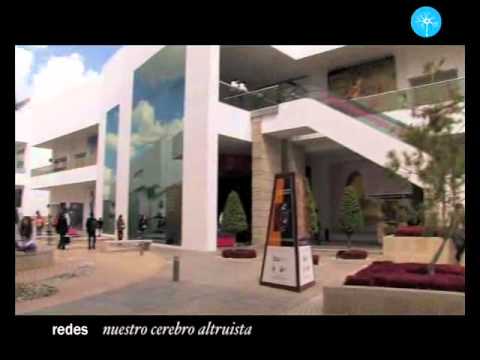 ¿Cómo influye el altruismo en la sociedad?