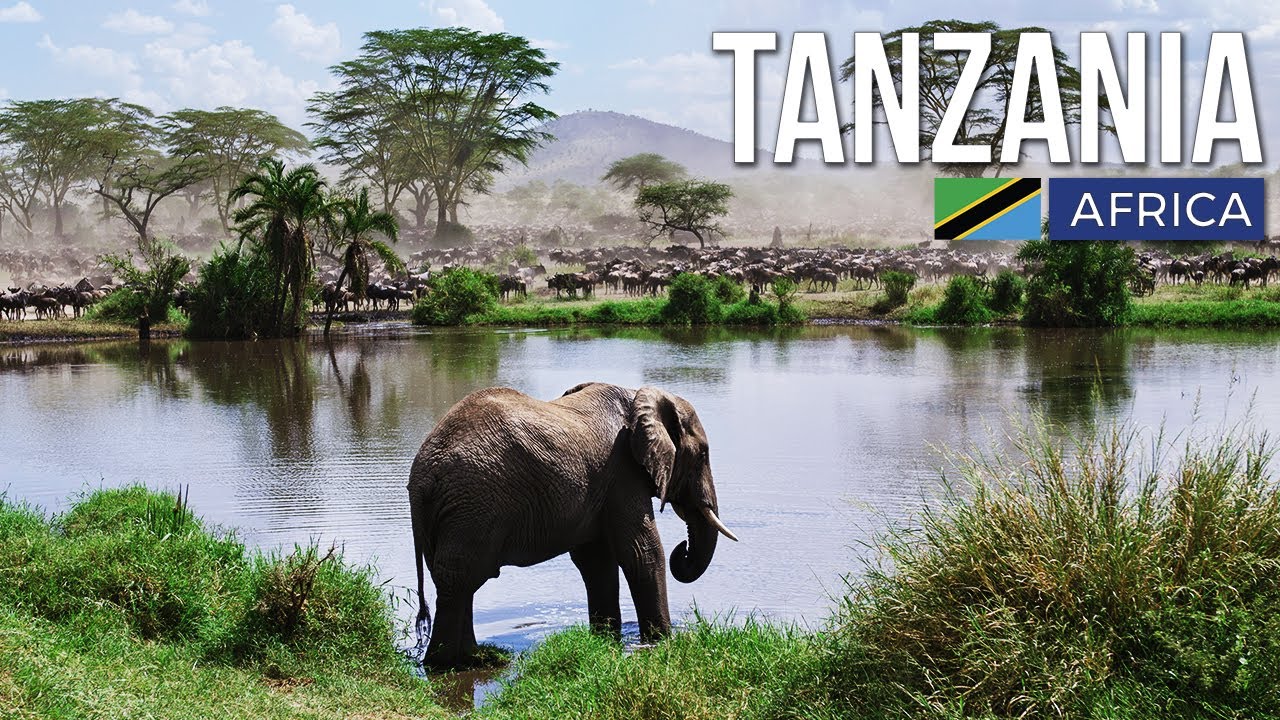¿Cuándo hacer un safari en Tanzania?