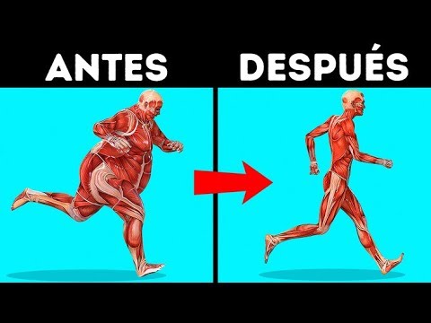 ¿Cuántos kilos se pierden si no se come en un día?