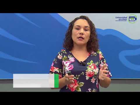 ¿Qué es la auditoría y consultoría administrativa?