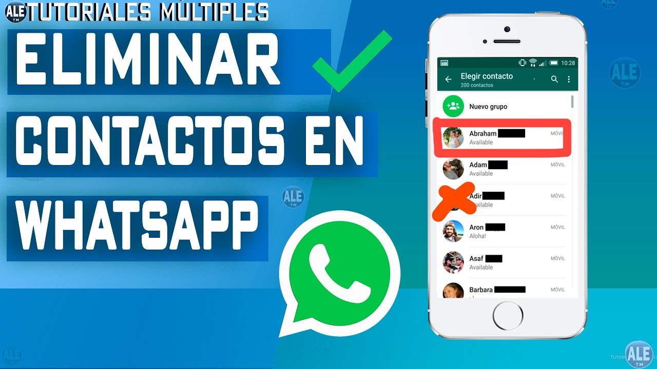 Guía completa: Borrar y recuperar contactos del chat de WhatsApp
