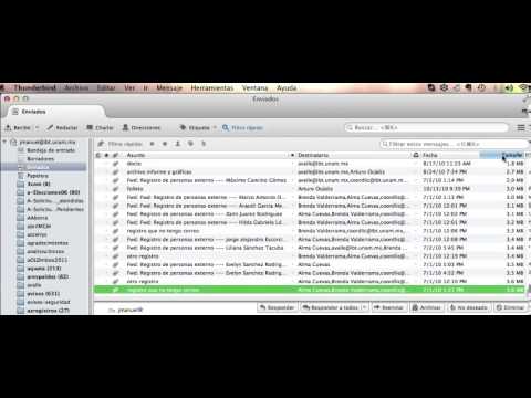 Guía completa para gestionar tus correos en Thunderbird
