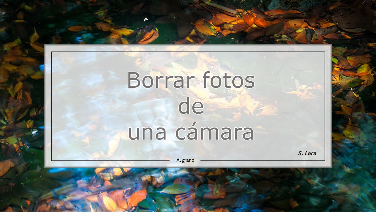 Consejos y herramientas para borrar fotos de la cámara desde el ordenador