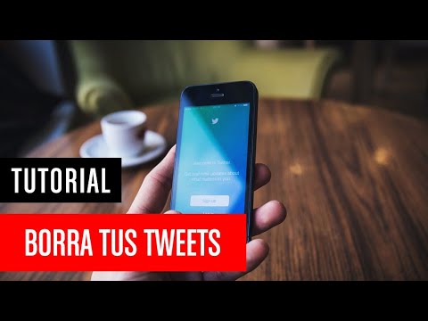 Elimina tus tweets en segundos: Métodos, consejos, herramientas y pasos prácticos
