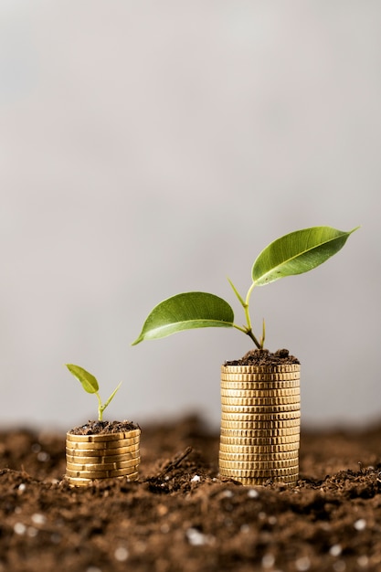Factores clave que determinan la prosperidad 7 Factores clave que determinan la prosperidad