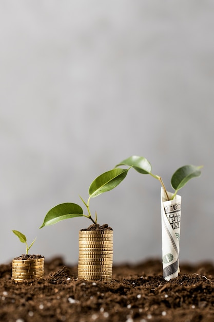Factores clave que determinan la prosperidad 8 Factores clave que determinan la prosperidad