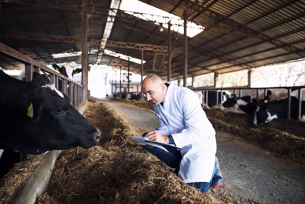 La importancia del libro de la vaca