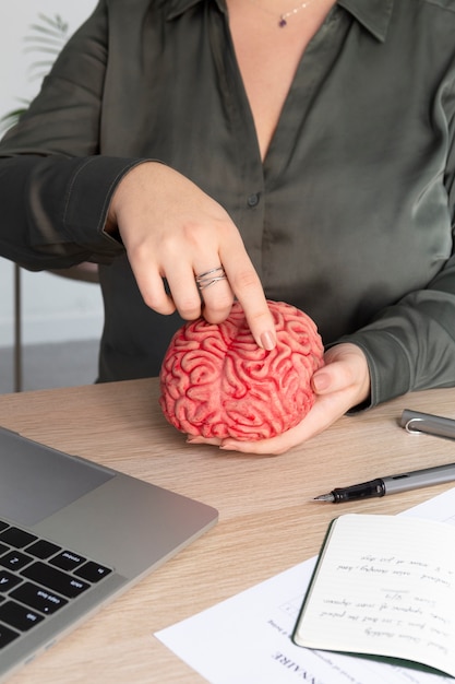 Habilidades desarrolladas en el hemisferio izquierdo del cerebro