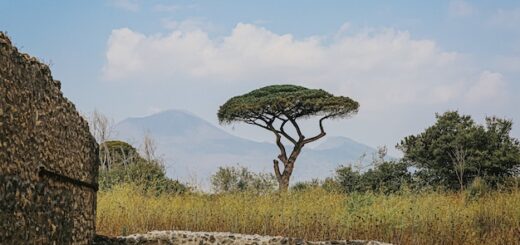 Descubre Tanzania en 10 días: itinerario imprescindible