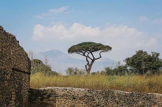 Descubre Tanzania en 10 días: itinerario imprescindible 6 Descubre Tanzania en 10 días: itinerario imprescindible