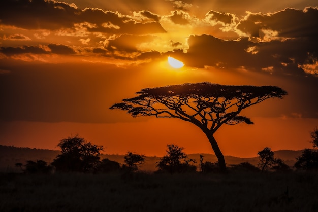 Descubre Tanzania en 10 días: itinerario imprescindible 8 Descubre Tanzania en 10 días: itinerario imprescindible