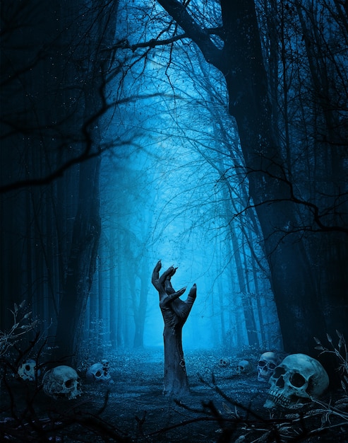 Explorando el misterio de la vida después de la muerte 6 Explorando el misterio de la vida después de la muerte