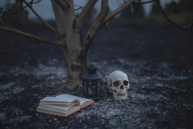 Explorando el misterio de la vida después de la muerte 7 Explorando el misterio de la vida después de la muerte