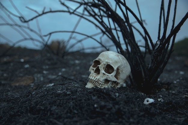 Explorando el misterio de la vida después de la muerte 8 Explorando el misterio de la vida después de la muerte