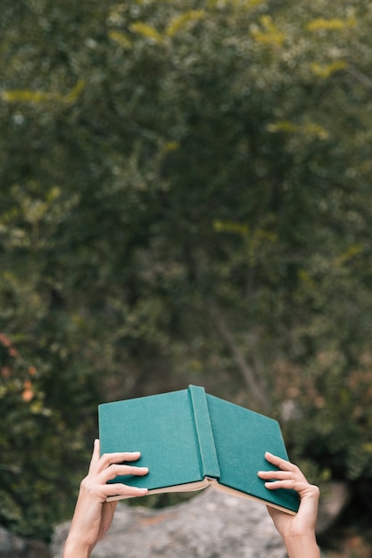 Libros curativos para sanar el alma