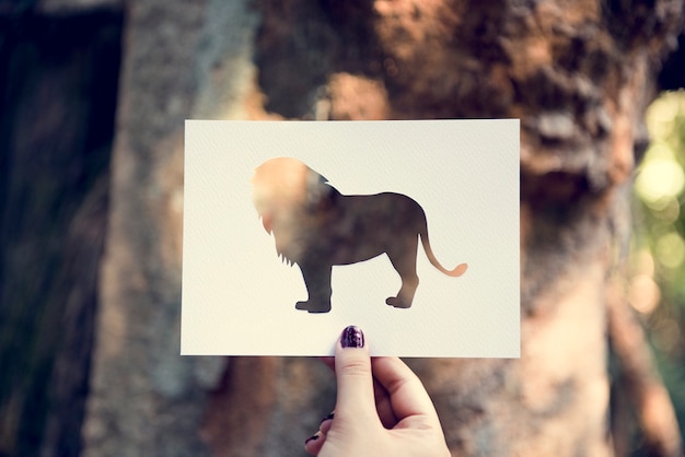 El mensaje oculto del elefante encadenado
