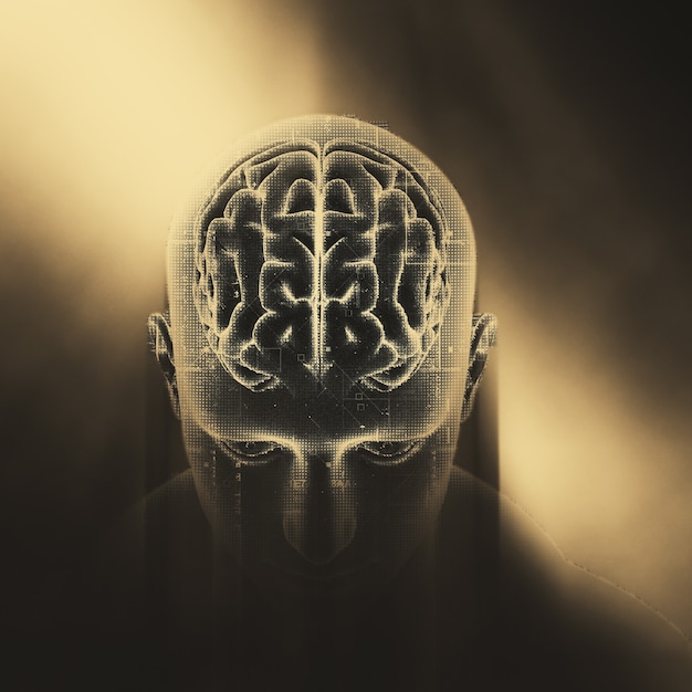 La activación cerebral del miedo: una exploración