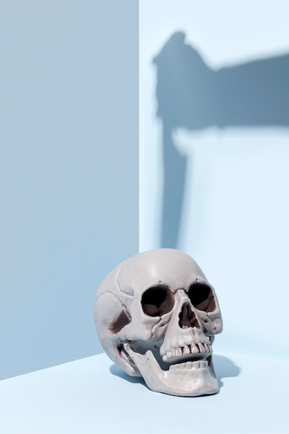 El misterio detrás de las bocas abiertas en la muerte 6 El misterio detrás de las bocas abiertas en la muerte