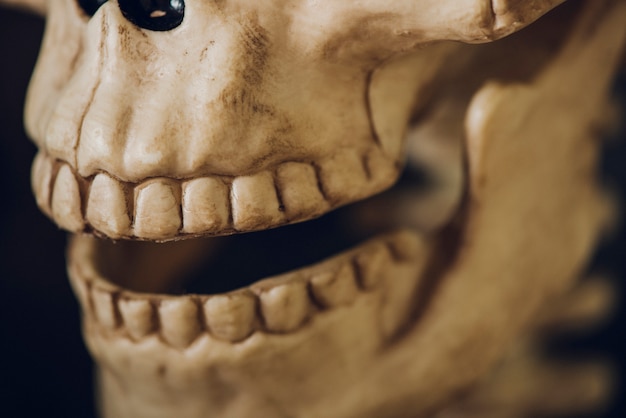 El misterio detrás de las bocas abiertas en la muerte 7 El misterio detrás de las bocas abiertas en la muerte