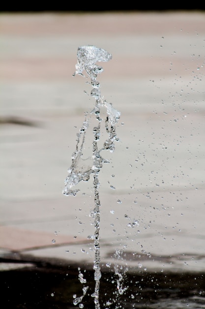 Efectos de consumir exceso de agua de ruda