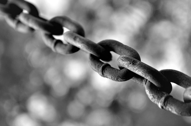 El significado de la verdadera libertad