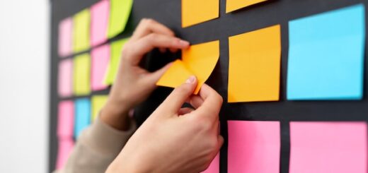 Elementos clave para crear una organización exitosa