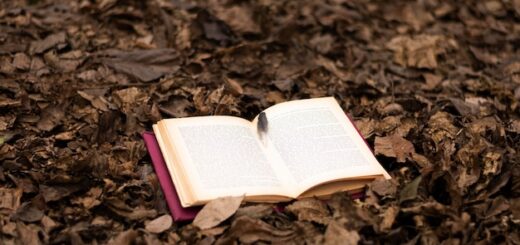 Semillas de sabiduría y valores en los cuentos